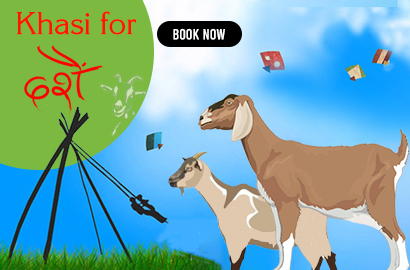 Khasi & Boka for Dashain
