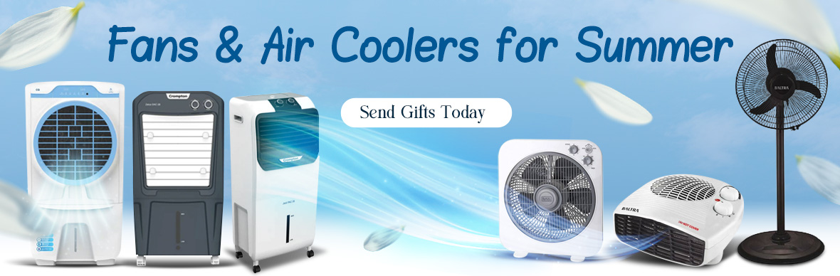 Fans & Coolers for Summer