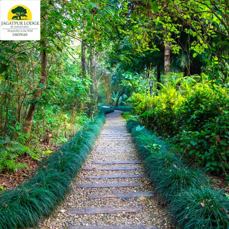 Jagatpur Lodge for Staycation for Two - Luxury Tent - Jungle Plan - CHWTN