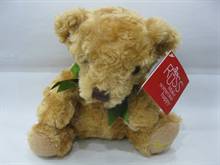 Shy  teddy Bear