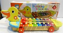 Duckling knock Qin