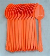 Plastic Spoon