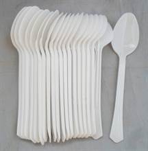 Plastic Spoon