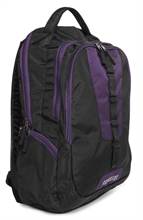American Tourister  Buzz Backpack 04 Black / Purple