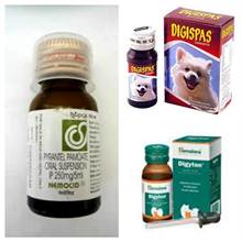 The LABRADOR RETRIEVER