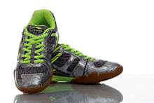 Li-Ning FORCE Badminton Shoes (AYTL203-4)