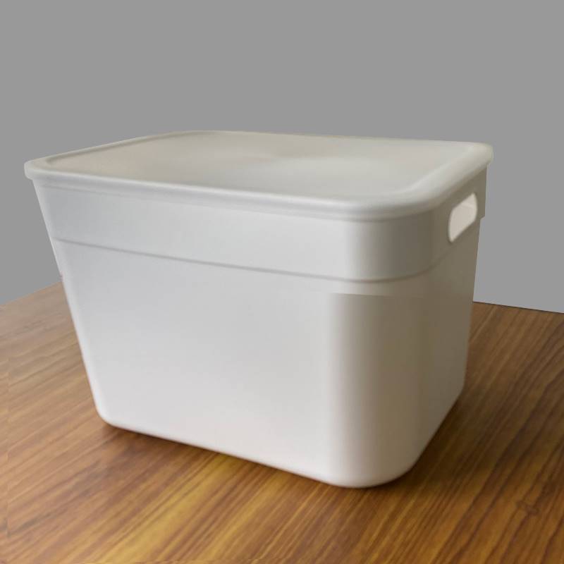 MINISO Storage Organizer with Lid (XL)