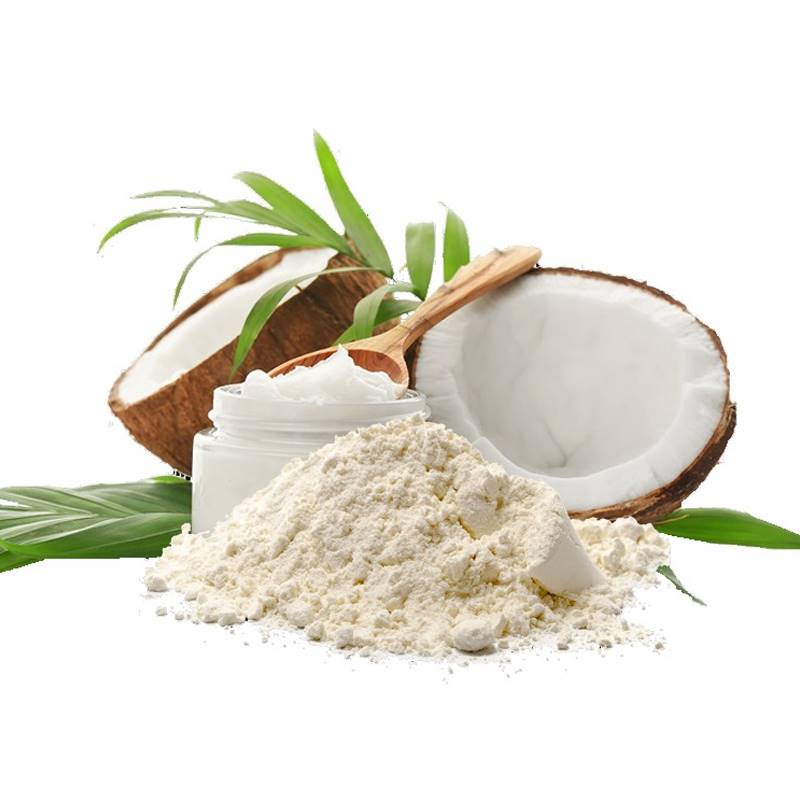 Vega Coconut Powder (100 g)