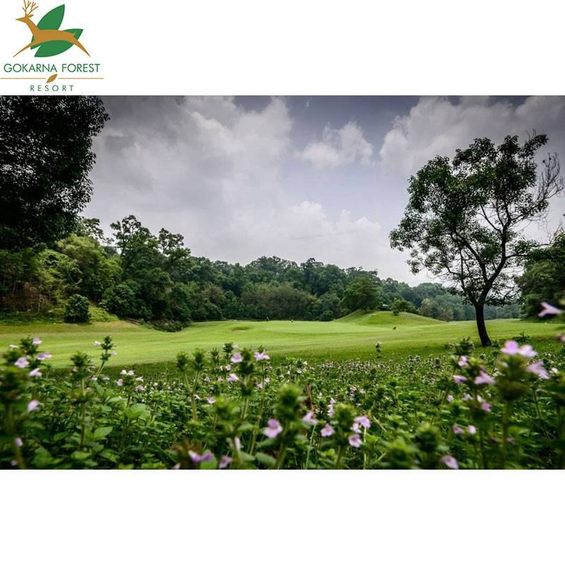 Gokarna Forest Resort Bed & Breakfast Staycation for Two 