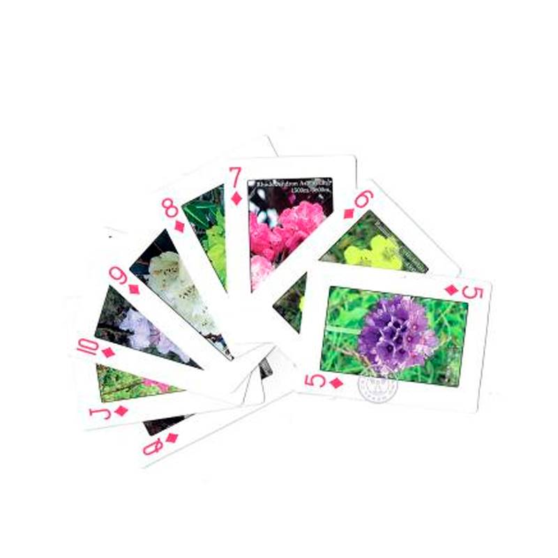 Playing Cards Flowers of Nepal (52 Cards Deck)