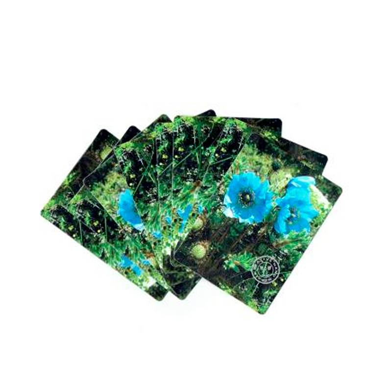 Playing Cards Flowers of Nepal (52 Cards Deck)