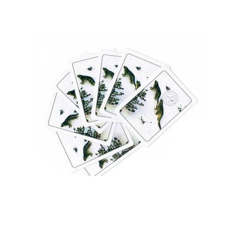 Playing Cards Wildlife of Nepal (52 Cards Deck)