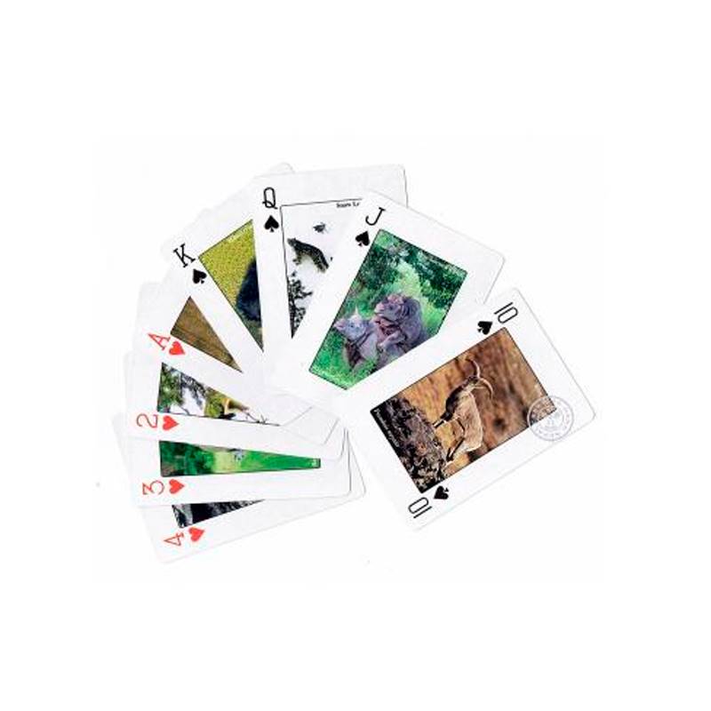 Playing Cards Wildlife of Nepal (52 Cards Deck)