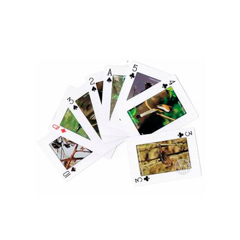 Playing Cards Birds of Nepal (52 Cards Deck)