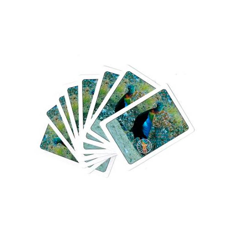 Playing Cards Birds of Nepal (52 Cards Deck)