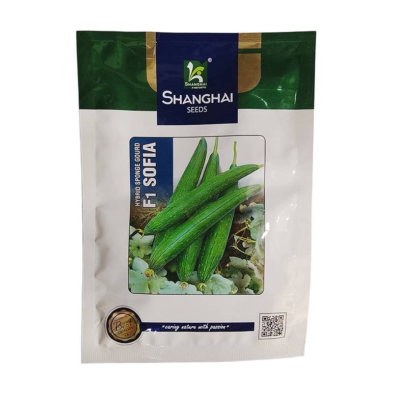 Shanghai Seeds Hybrid Sponge Gourd (F1 Sofia)