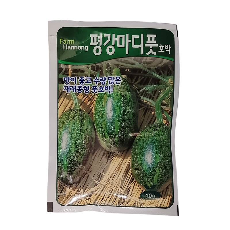 Korean Hybrid Green Pumpkin