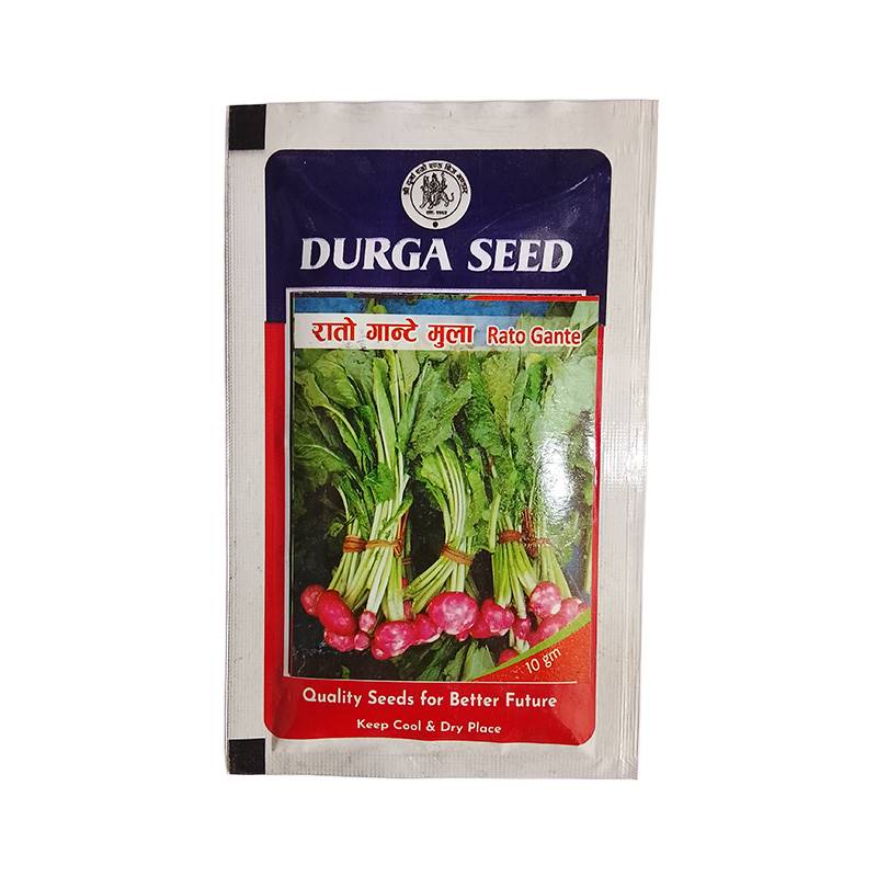 Durga Seed Red Turnip