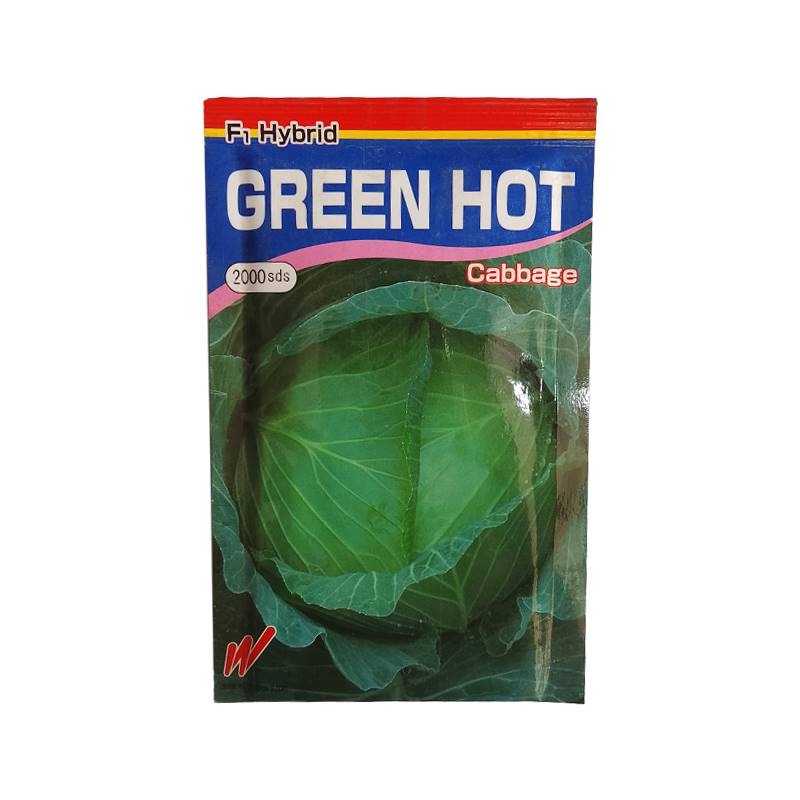 Green Hot Cabbage F1 Hybrid