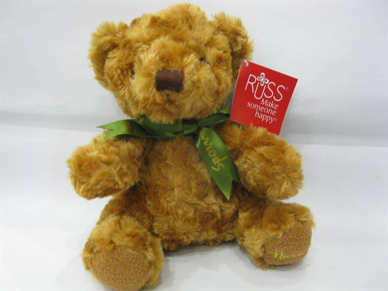 Shy  teddy Bear