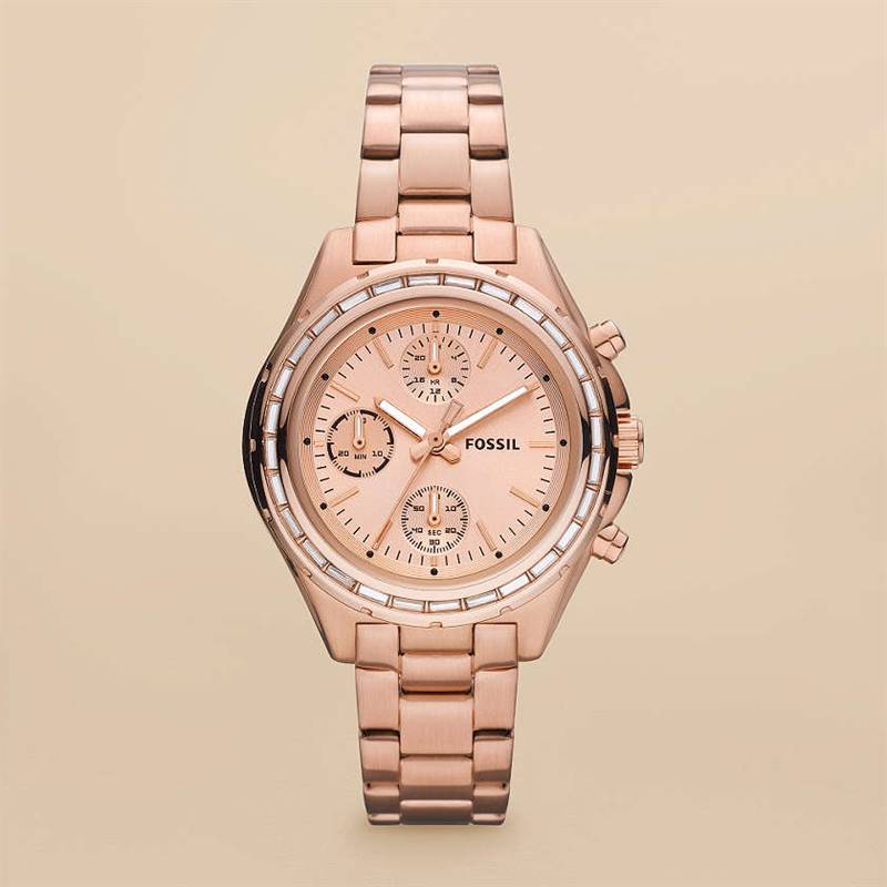 Dylan Stainless Steel Watch - Rose CH2826