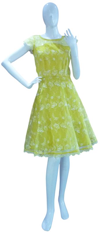 Tenzin Bhutia's Yellow Dress (038)