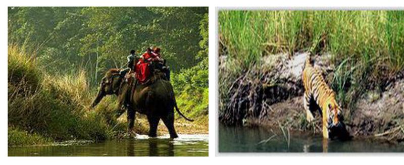 2 Night 3 Days Vacation Package ( Kathmandu-Chitawan-Kathmandu)