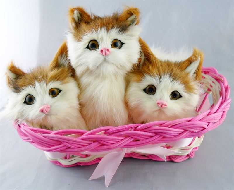 Battery Operating 3 Baby Cats In A Dark Pink Basket (H x W : 7 x 10 Inch Approx.)