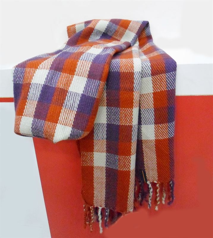 Peter England Muffler (EMF5103739)