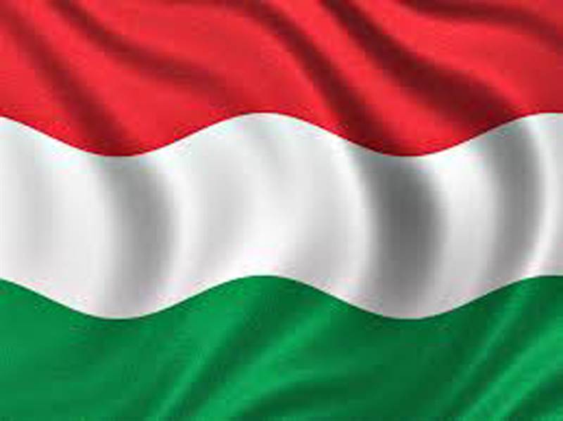 Italy Flag