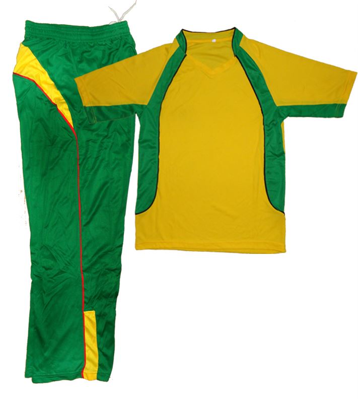 cricket jersey set