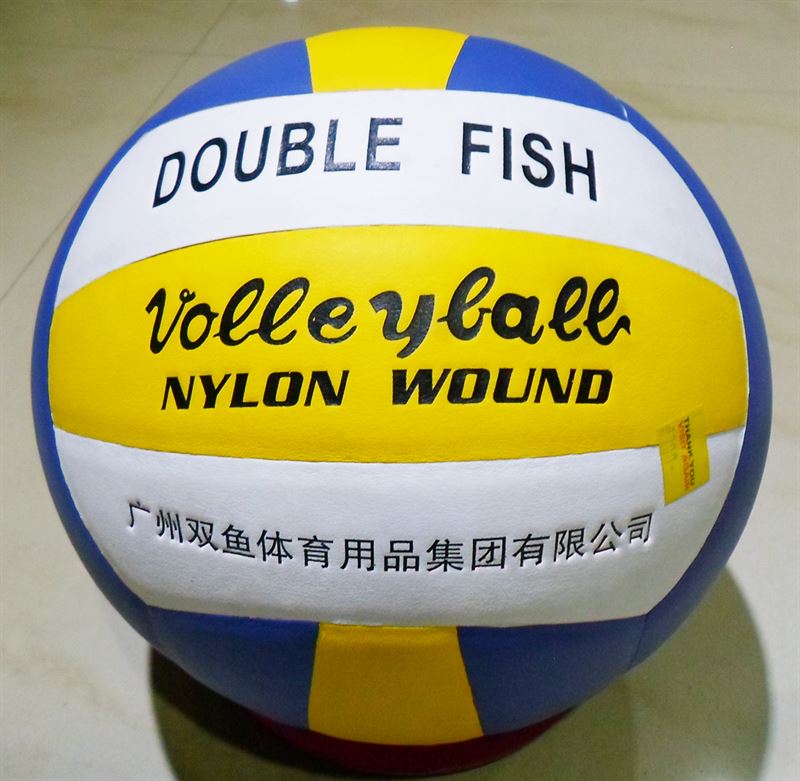 Double Fish Volleyball
