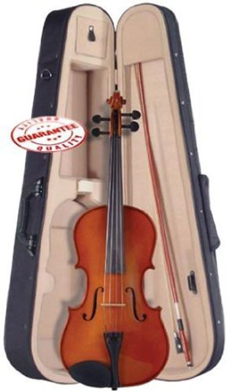 Palatino Campus Violin Outfit, VN-350 1/4