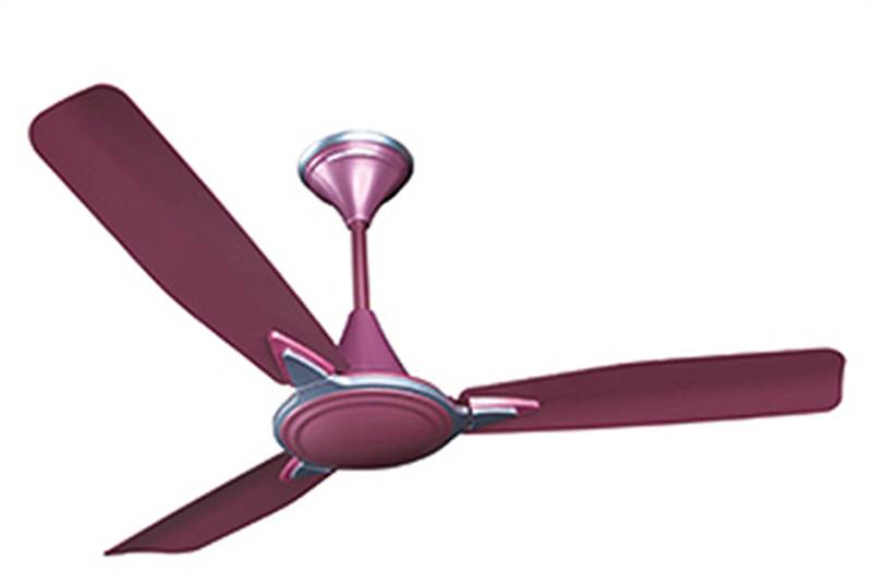 Crompton Amour Decorative Fans