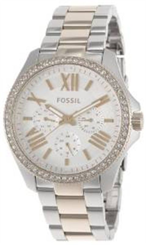 Fossil Women's AM4543 Cecile Analog Display Analog Quartz Silver Watch