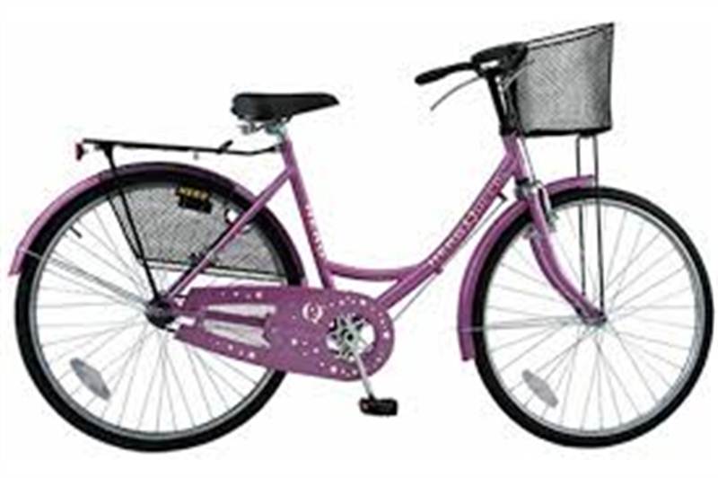 buy ladies cycle online