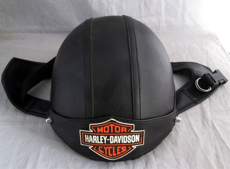 harley davidson shoes price in nepal