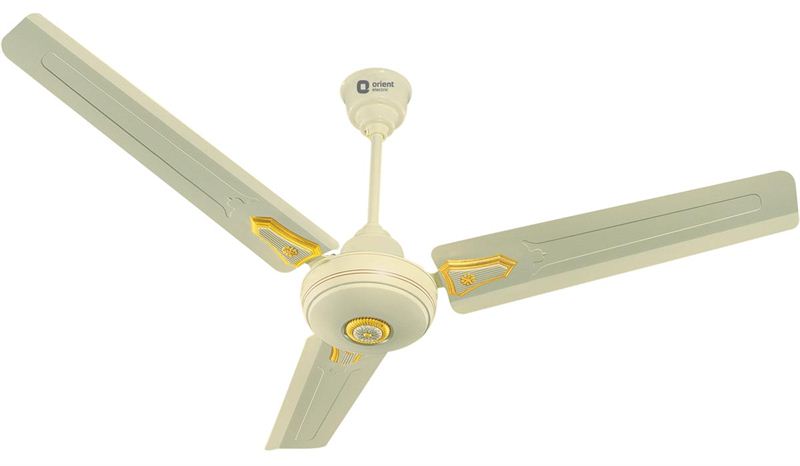 Orient Summer Delight Decor Ceiling Fans 24 Inch Send