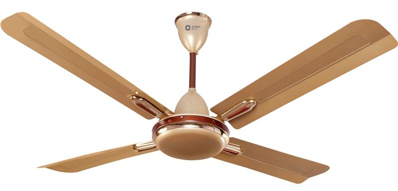 Orient Quadro Ornamental Decorative Ceiling Fan (48 Inch)