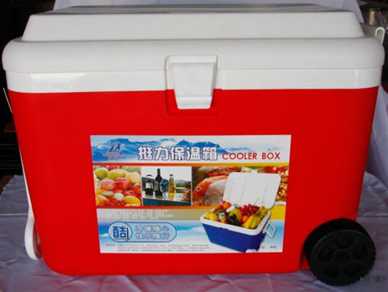 Ice Cooler Boxes (48 L)