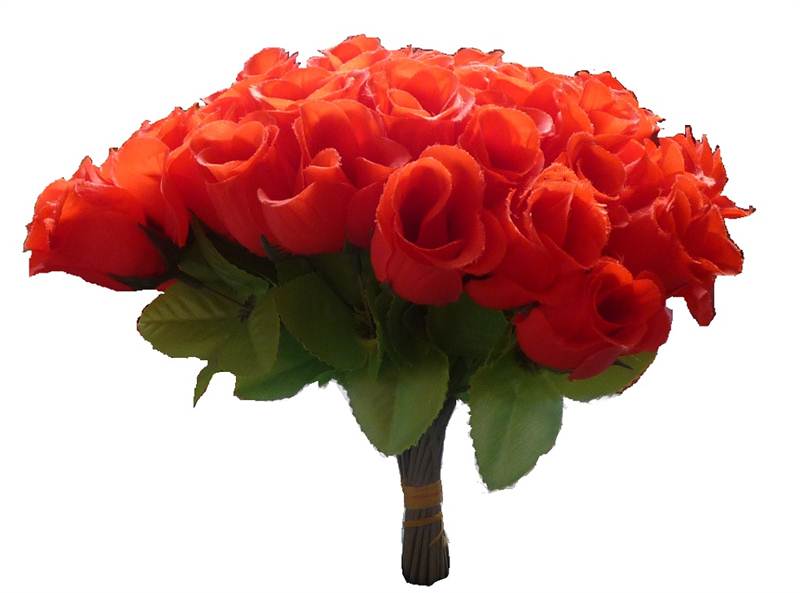 HD Exclusive Pics Of Red Roses Bookey flowers pictures