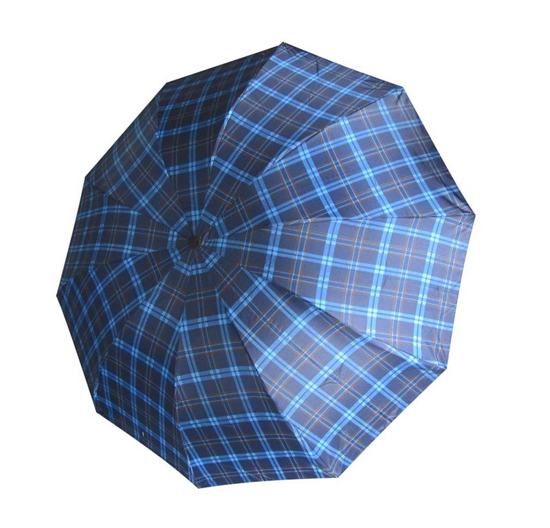Check Umbrella (E3333)