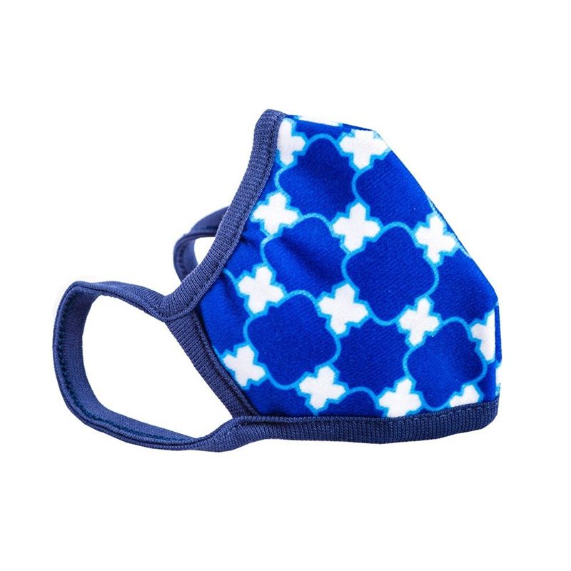 Atlanta Healthcare Cambridge N99 Standard Air Pollution Face Mask - No Valve (The Wedgewood)