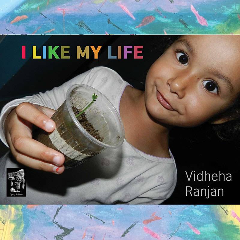 I Like My Life by Vidheha Ranjan (For sale worldwide)