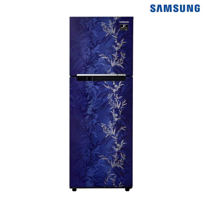 Samsung 253 L Double Door Refrigerator - Mystic Overlay Blue (RT28A32216U/IM)