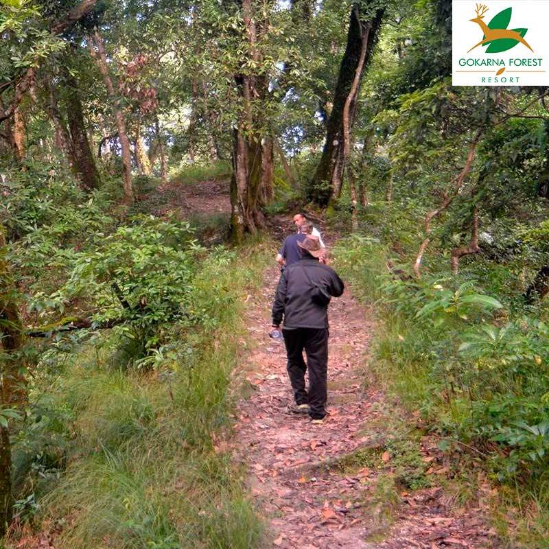 Guided Forest Walk (1 Hour) at Gokarna Forest Resort - Special Experiential Gift Voucher