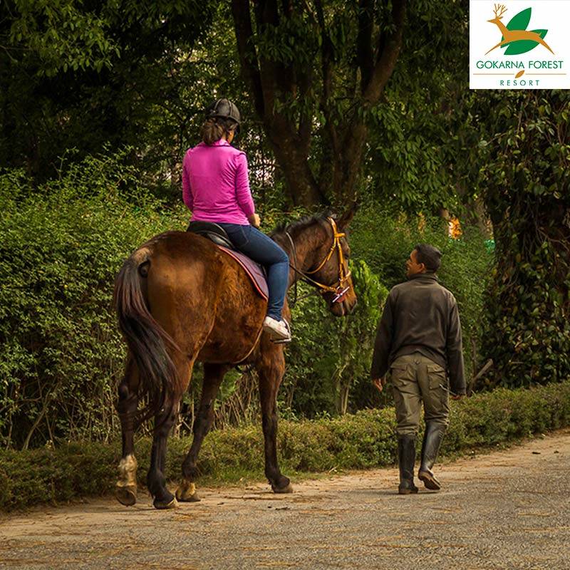 Horse Riding (1 Hour) at Gokarna Forest Resort - Special Experiential Gift Voucher