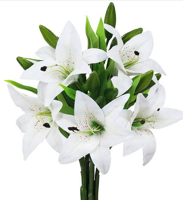 6 White Lilies Bouquet in Plastic Packing