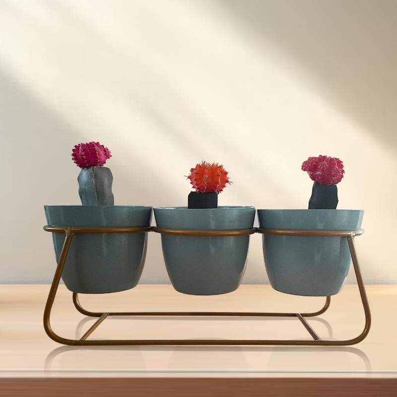 Colorful Cacti in Triple Metal Pots