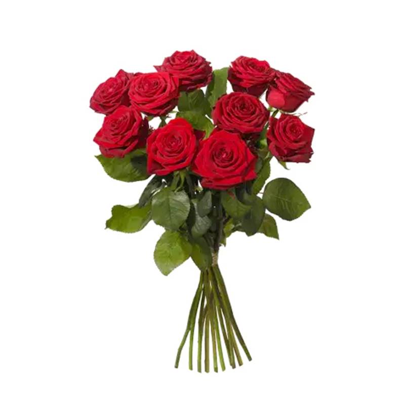 10 Red Roses Bouquet